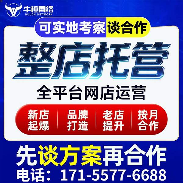 广州电商代运营