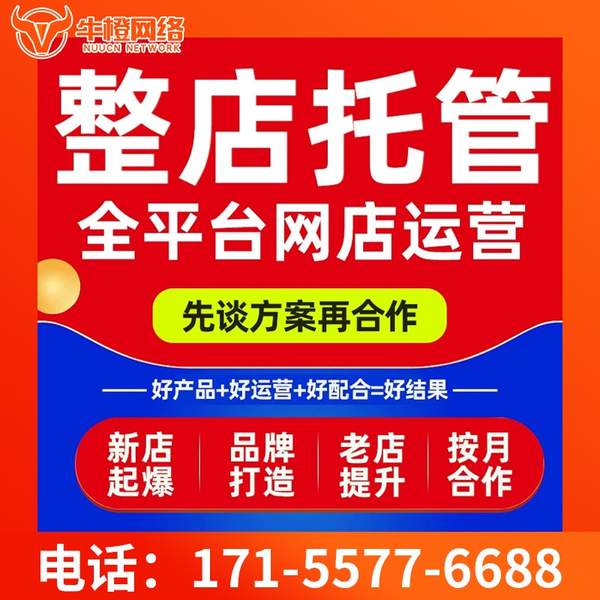 广州电商代运营