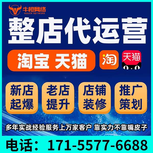 广州电商代运营