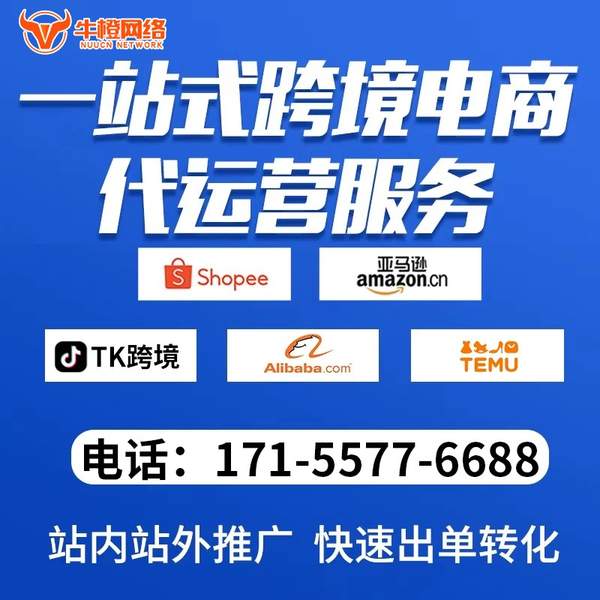 广州电商代运营