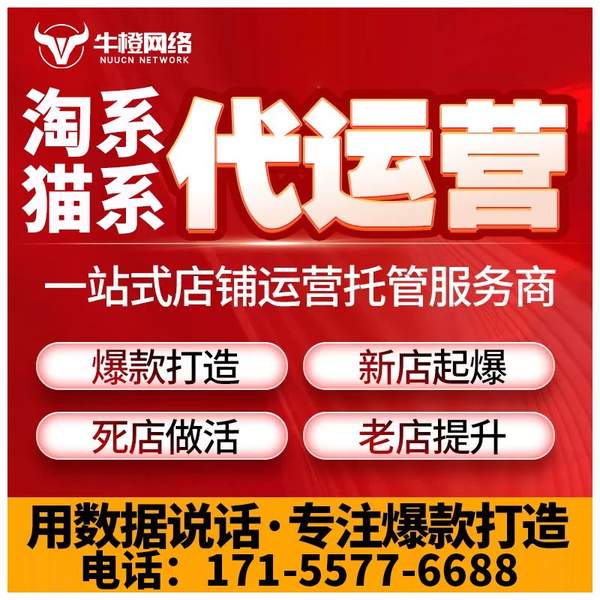 广州电商代运营